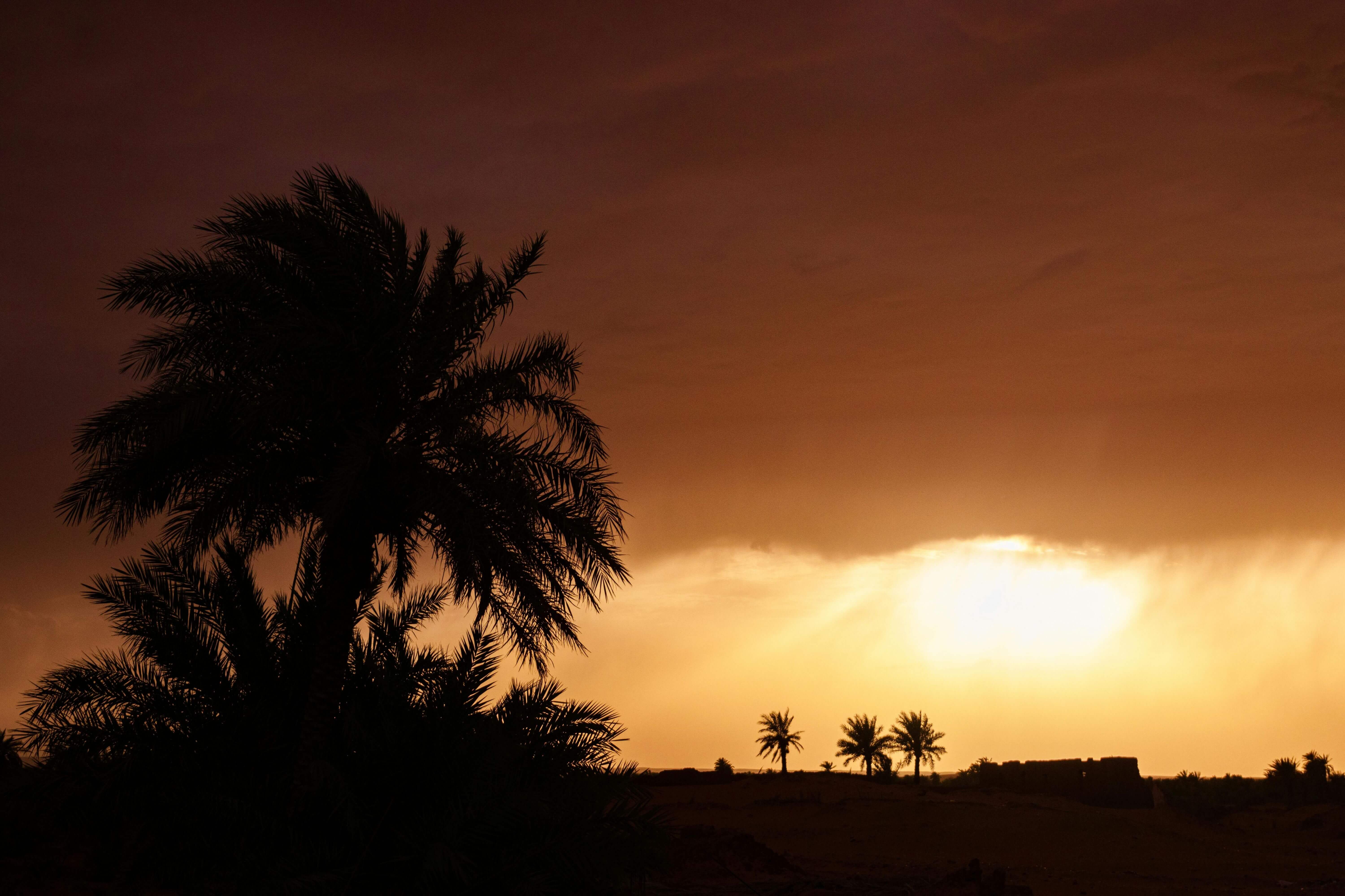 Sahara Desert